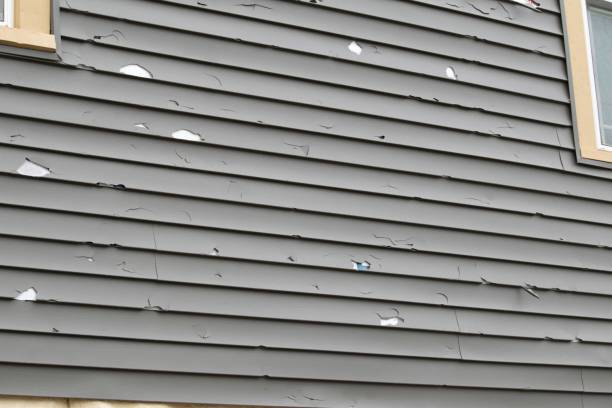 Best Residential Vinyl Siding Installation  in Cut Off, LA