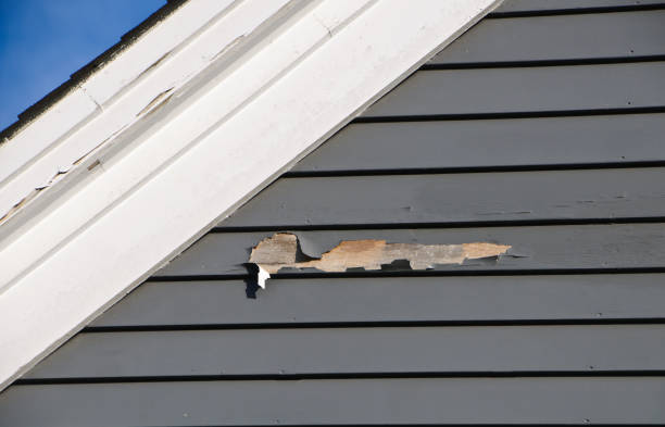 Best Custom Siding Design  in Cut Off, LA